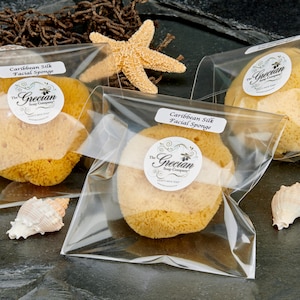 Caribbean Silk Sea Sponge: Natural Facial Exfoliator (2.5-3 inch)