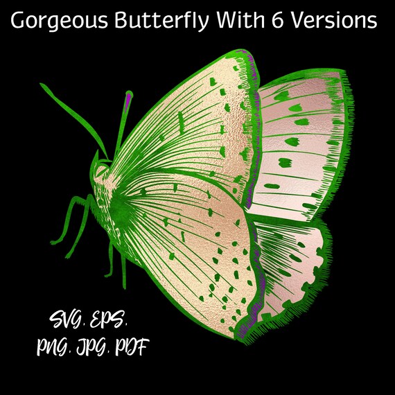 Download Butterfly Svg 6 Versions Of Butterflies Cutting Files Svg Etsy PSD Mockup Templates