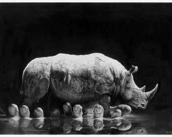 Rhino in the  Mud - Jono Dry Pencil Drawing Print