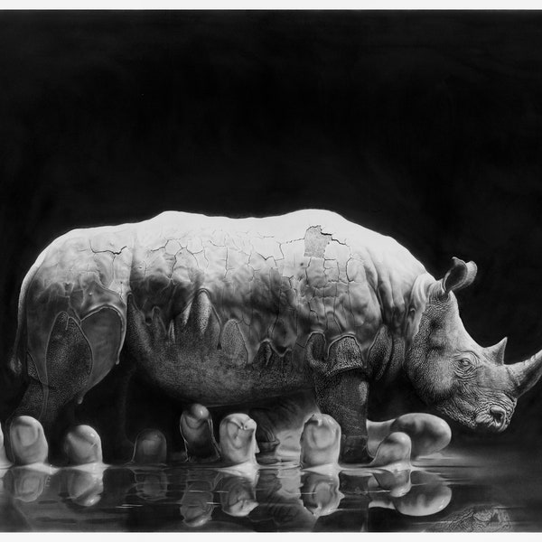 Rhino in the  Mud - Jono Dry Pencil Drawing Print