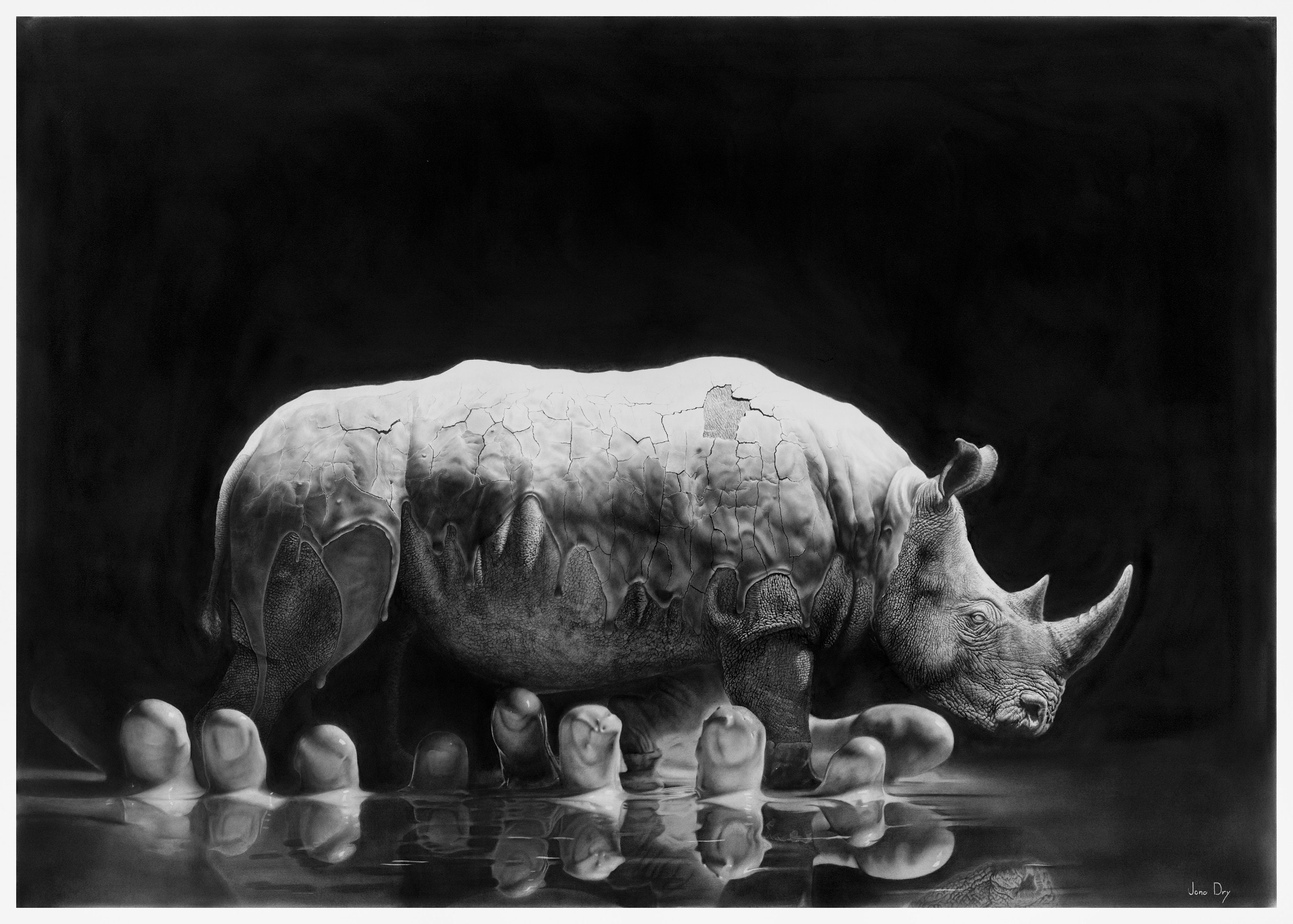 Rhino in the Mud Jono Dry Pencil Drawing Print Etsy
