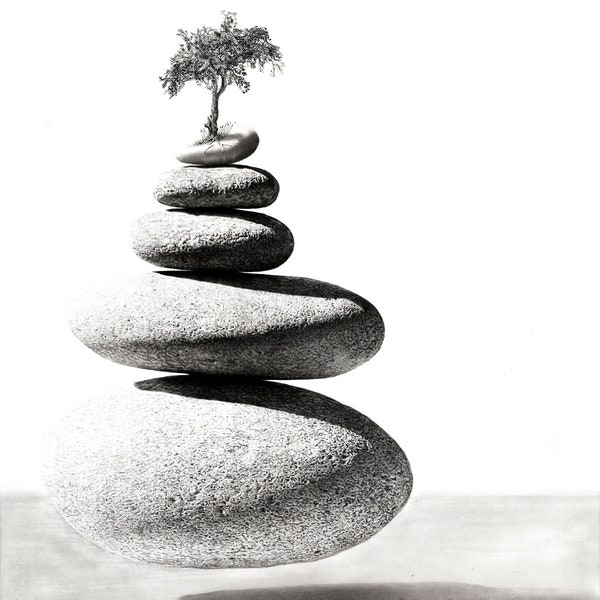 Balance - Jono Dry Pencil Drawing Print