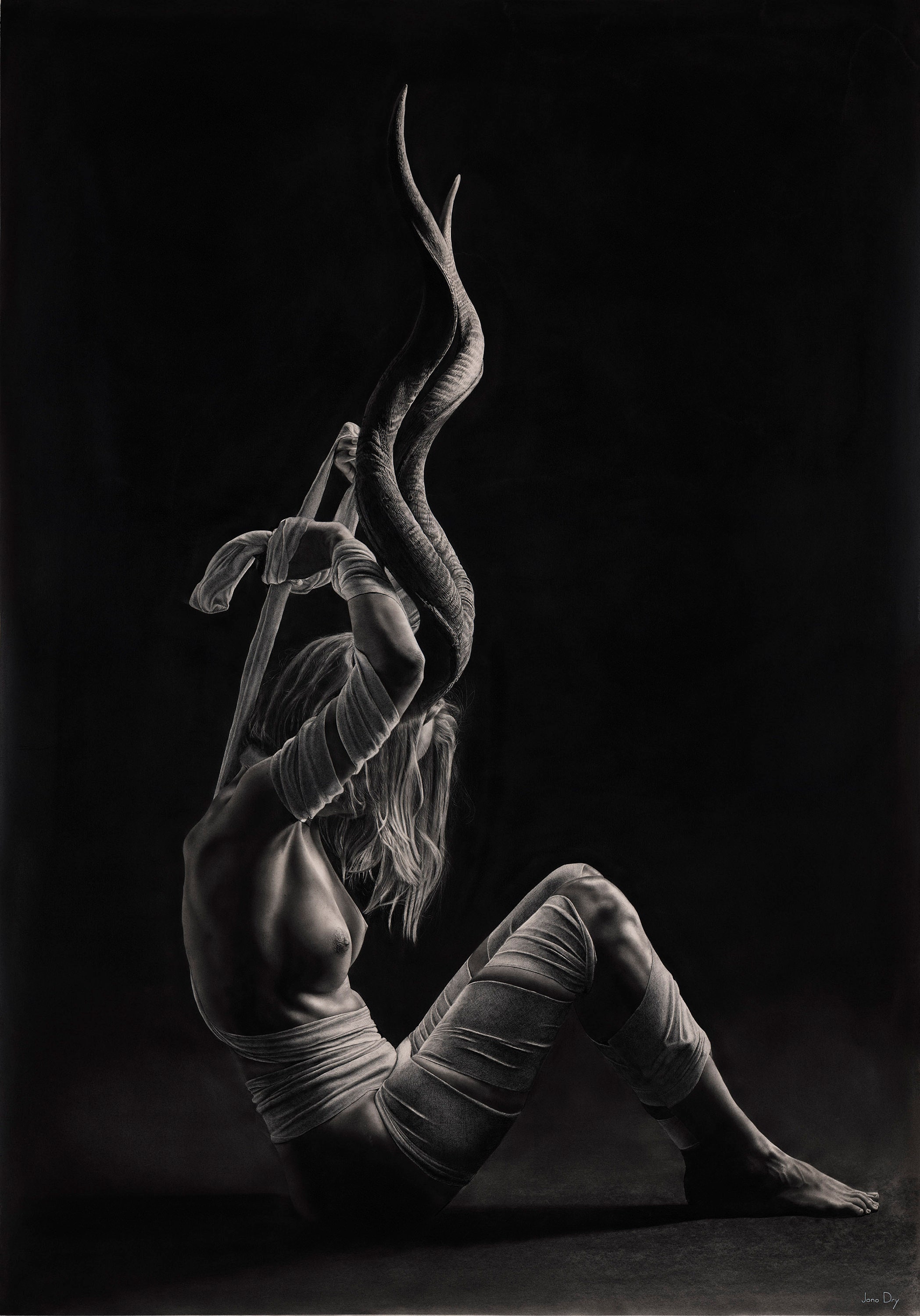 Prints — Jono Dry Art