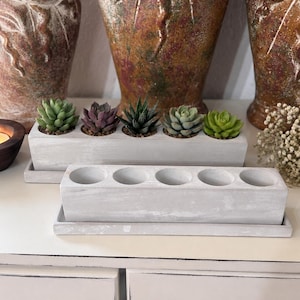 May include: Two rectangular light gray concrete planters, each featuring five circular openings for plants. One planter is filled with five distinct small succulents in shades of green and purple, while the other remains empty and sits on a matching tray.
