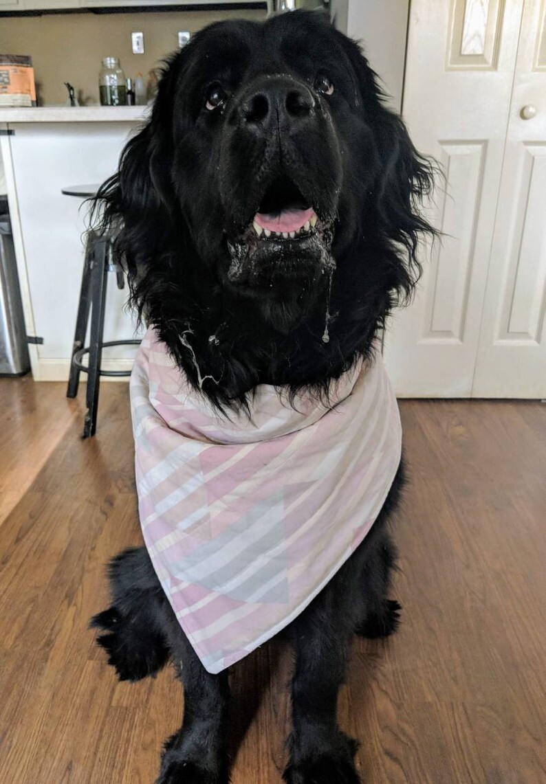 Drool Bibs for Dogs made to order Etsy