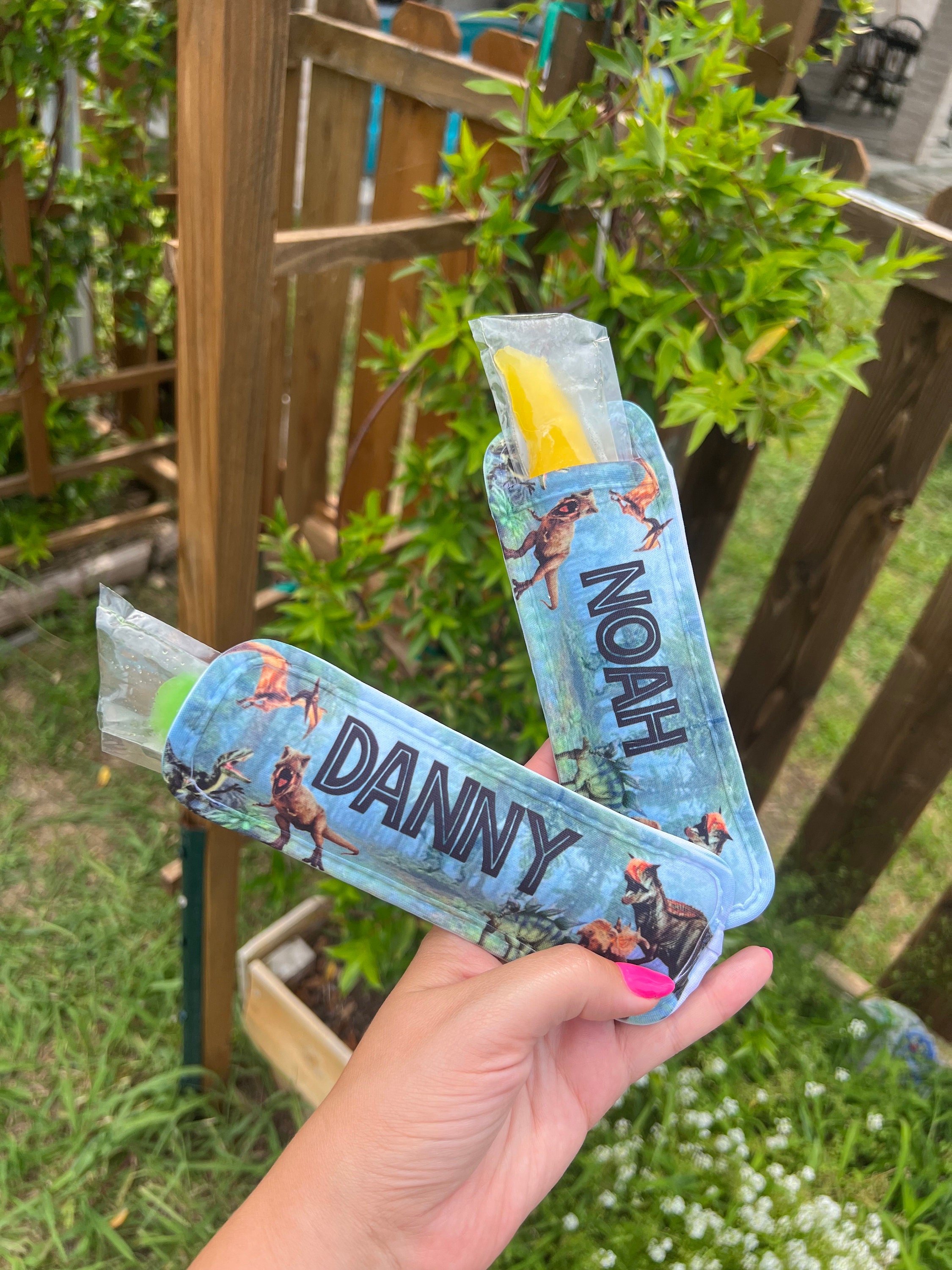 PERSONALIZED Ice Pop Holder Dinosaur Ice Pop Holder Popsicle Etsy
