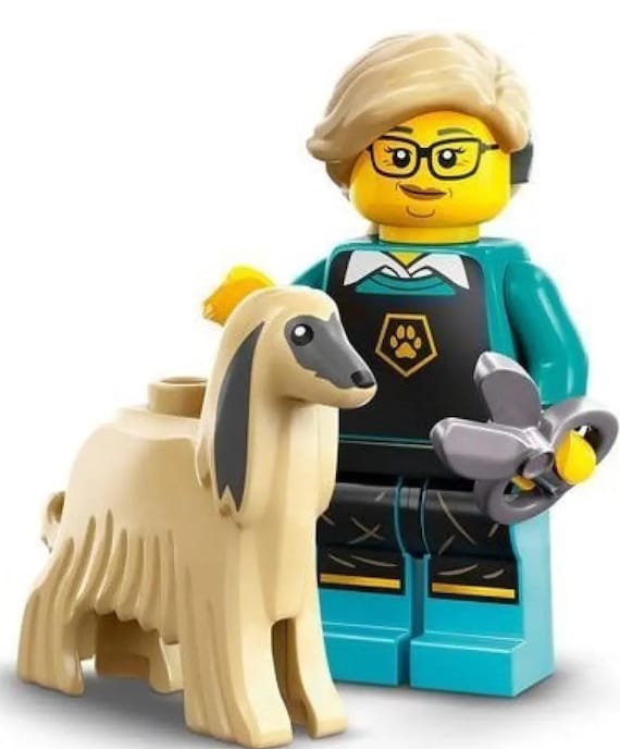Pet Groomer LEGO Minifigure Series 25 70145 RETIRED Collectible 12 Etsy Canada