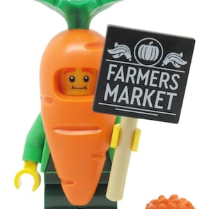 Carrot Mascot New LEGO Minifigure Series 24 70137 RETIRED Collectible