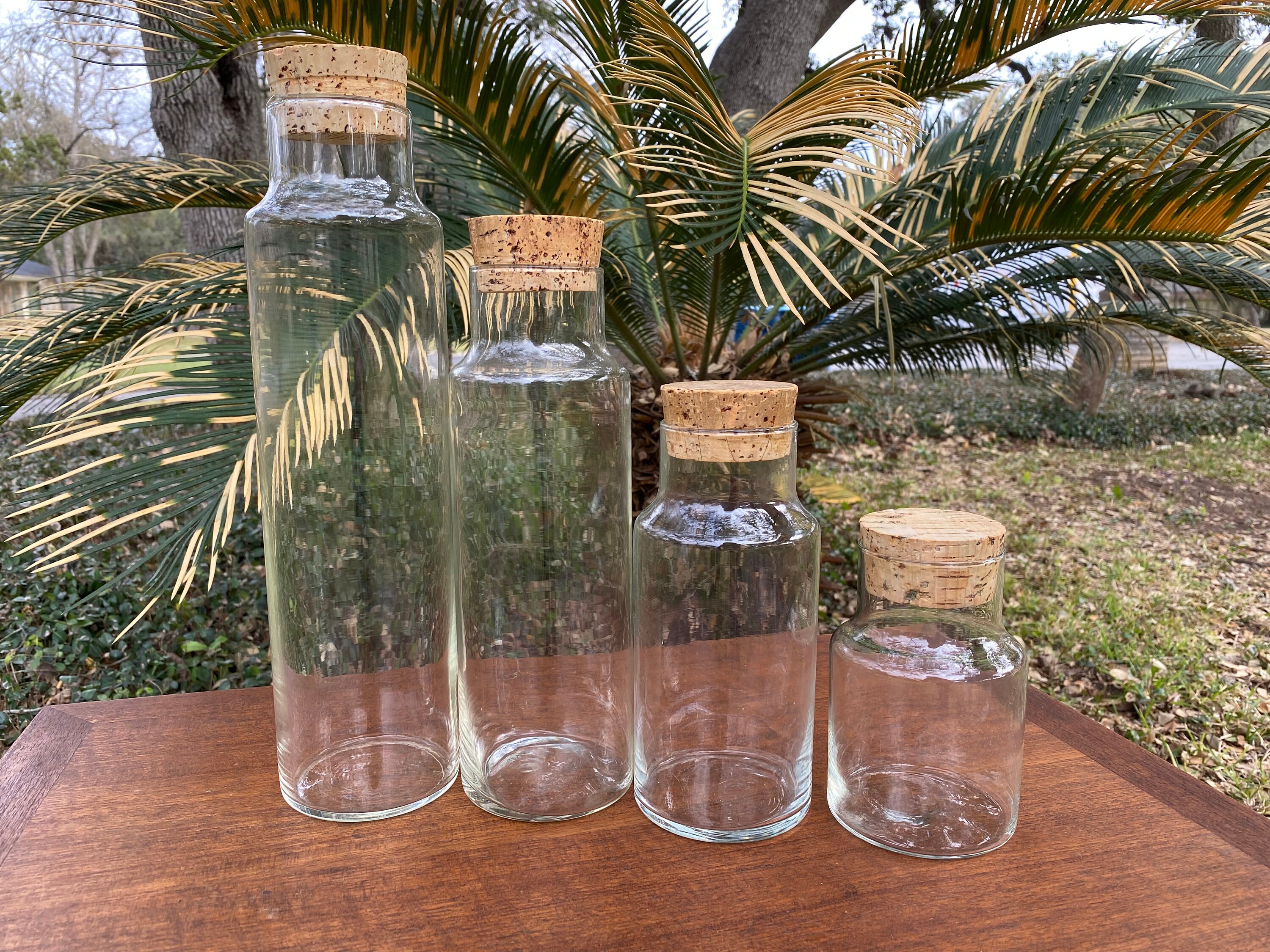 12 Pack Clear 6 Oz Glass Bottles with Cork Lids, Tiny Vintage Style Potion  Vases for Party Favors, DIY Crafts (180 ml) 