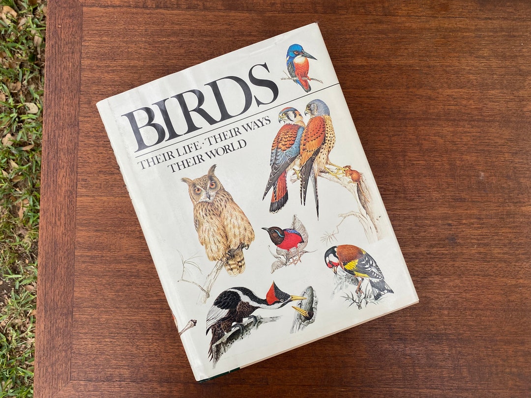 Birds: Their Life, Their Ways, Their World