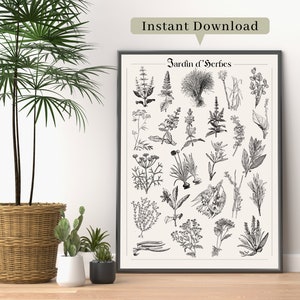 Botanical Herb Garden Print, Vintage Inspired Print, Digital Wall Art, Instant Download Print