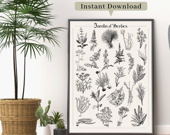 Botanical Herb Garden Print, Vintage Inspired Print, Digital Wall Art, Instant Download Print