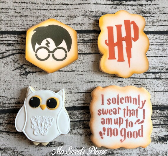 Harry Potter Owl Gift Muggle Treat Decorated Sugar Etsy