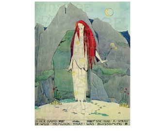 A Spray of Wild Hemlock, Jessie M. King Illustration, Art Nouveau Illustration, Art Nouveau Style Drawing, Glasgow School Style Illustration