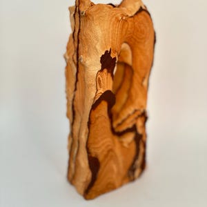 Natural Picture Sandstone Arch | Hand-Carved Desert Rock Sculpture | Southwest Decor | Earthy Boho Home Accent | Healing Stone Gift