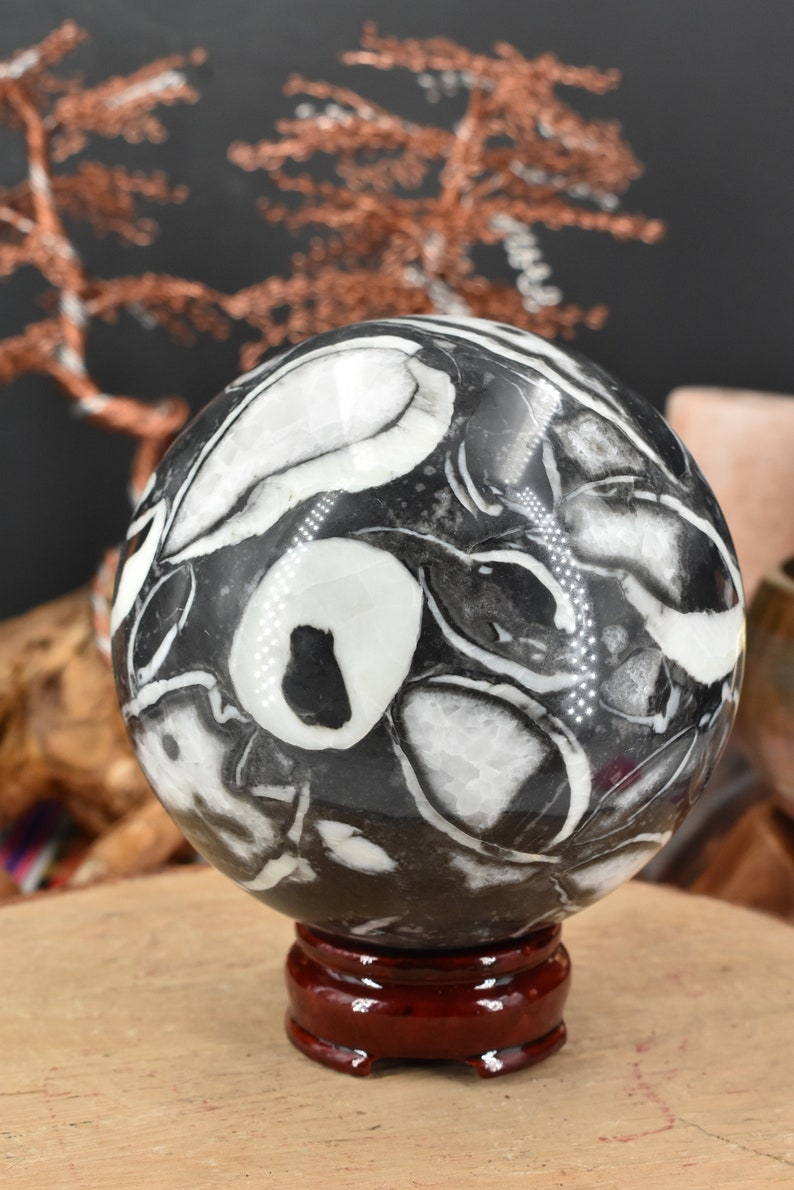 Clam Shell Jasper Polished Sphere large Etsy