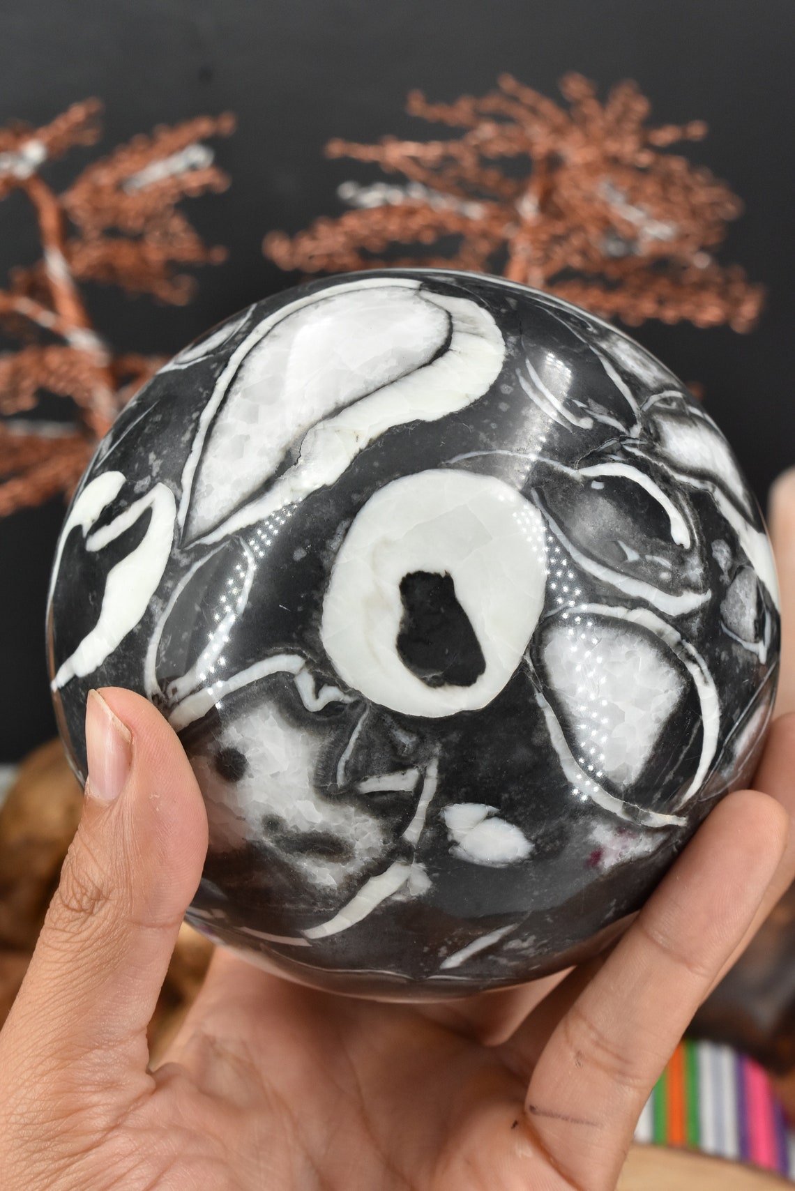 Clam Shell Jasper Polished Sphere large Etsy