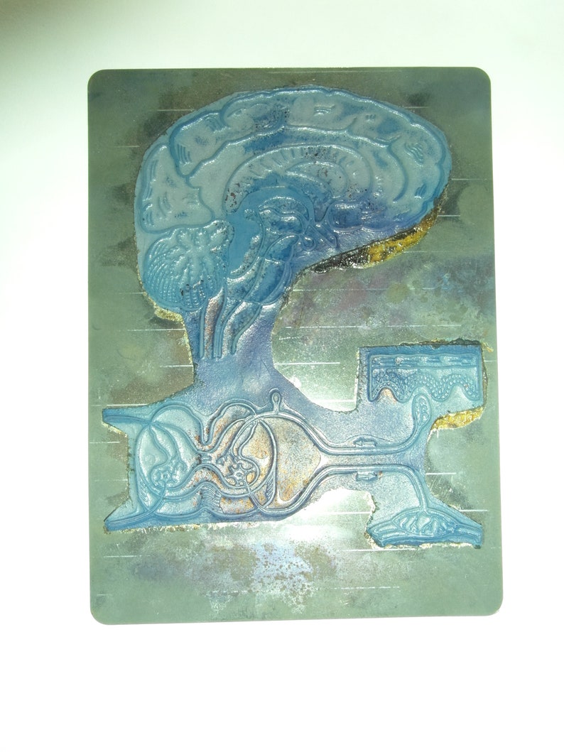 Puede incluir: Placa met&aacute;lica azul y plateada con una ilustraci&oacute;n anat&oacute;mica detallada del cerebro y el sistema nervioso humano. El cerebro se muestra en la parte superior, con la m&eacute;dula espinal y otros &oacute;rganos debajo. La placa tiene una superficie texturizada.