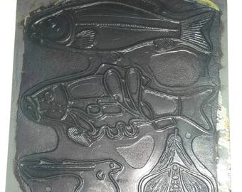 Placa de impresión de caucho ilustrada francesa de 1950: perfecta para estampado de tinta y proyectos artesanales