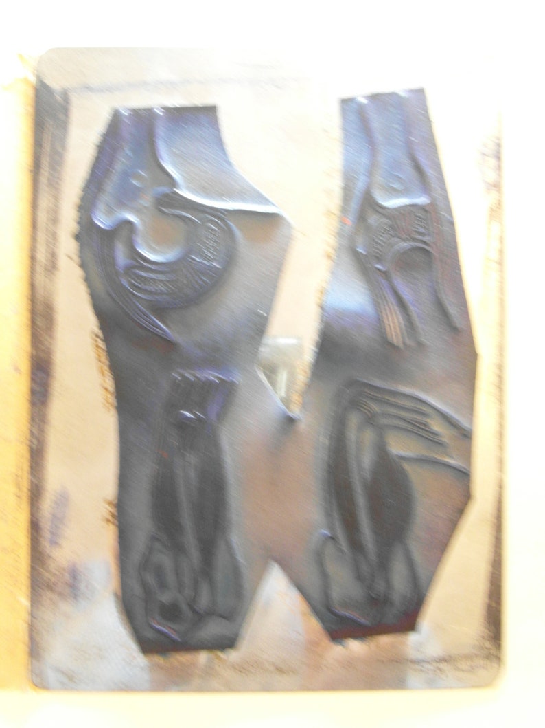 Puede incluir: Dos bloques de impresi&oacute;n azul oscuro con dise&ntilde;os en relieve. Un bloque presenta un perro sentado, el otro un p&aacute;jaro y una articulaci&oacute;n de la rodilla humana. Los bloques est&aacute;n sobre una superficie marr&oacute;n claro.
