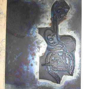 Puede incluir: Placa met&aacute;lica con un relieve detallado de los sistemas digestivo y respiratorio humanos. La placa tiene un aspecto oscuro y desgastado con tonos azules y morados en los bordes. Los detalles anat&oacute;micos est&aacute;n claramente definidos.
