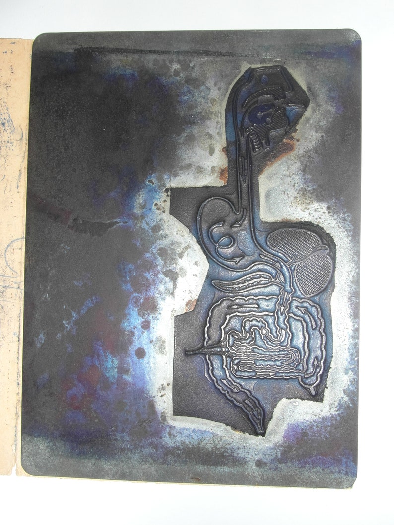 Puede incluir: Placa met&aacute;lica con un relieve detallado de los sistemas digestivo y respiratorio humanos. La placa tiene un aspecto oscuro y desgastado con tonos azules y morados en los bordes. Los detalles anat&oacute;micos est&aacute;n claramente definidos.