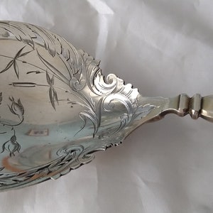 May include: A silver serving spoon with an ornate, floral design. The spoon has a delicate, pierced handle and a rounded bowl.