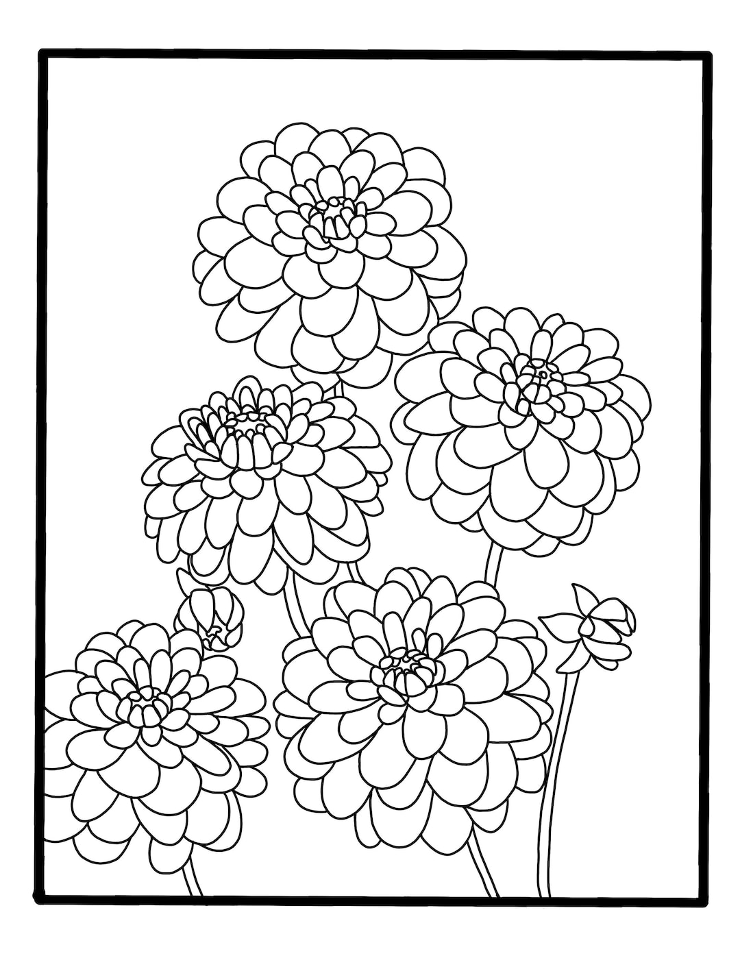 Dahlia Coloring Page-digital - Etsy