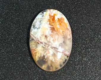 Graveyard pointe Plume Agate Cabochon small size for ring or pendant 18 x 12 mm