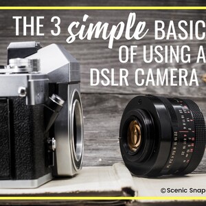 Op de afbeelding: Een zilveren en zwarte DSLR-camera met een lens erop. De camera staat op een houten oppervlak met een boek eronder. De tekst "THE 3 Simple BASICS OF USING A DSLR CAMERA" staat in wit op een gele achtergrond boven de camera.