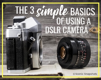 The 3 Simple Basics of Using a DSLR Camera
