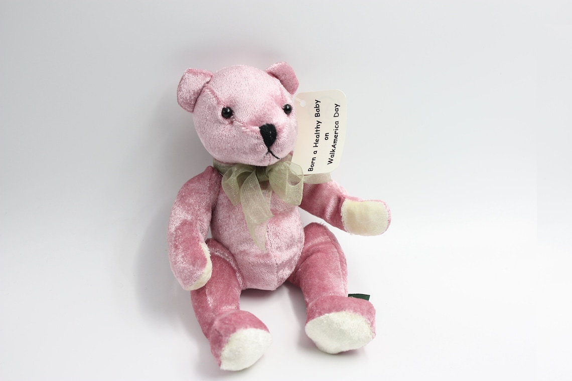 Pink Plush Teddy Bear for a Cause March of Dimes Bear Etsy