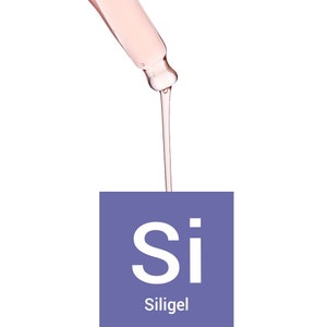 Siligel gelling agent, stabilizer, co-emulsifier, suspending agent, and skin feel enhancer that decreases transepidermal water loss