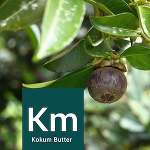 Kokum Butter - 4 oz Jar - Cold Pressed, 100% Pure and Natural