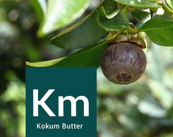 Kokum Butter, 100% Pure & Natural gepresst und raffiniert 16 oz im Glas