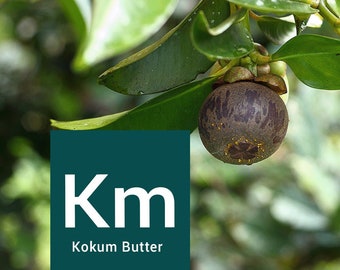 Kokum Butter: 100% Pure Cold Pressed Moisturizer (8 oz)