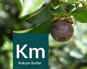 Kokum Butter, 8 Unzen 100% reine und natürliche rohe kaltgepresste Hautpflege, Haare, Lippen, Körperbutter Feuchtigkeitscreme, Bulk Kokum Butter