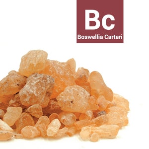Ätherisches Weihrauch Boswellia Carteri Öl - 10 - 30 ml - 100% reines ätherisches Öl
