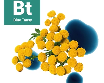Organic Blue Tansy Essential Oil - 10ml - 30ml  -  100% Pure Essential Oil