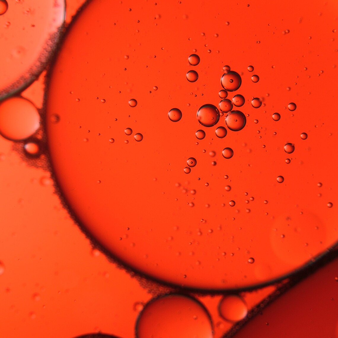 Beta Carotene, Vitamin C & Carrot Oil Extract, 2 Oz or 4 Oz Etsy