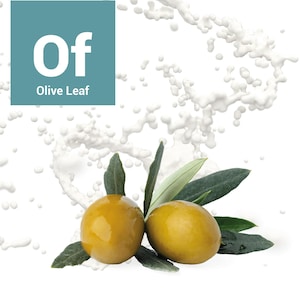 Olive Leaf Extract, Bio Fermented Extract 2 oz