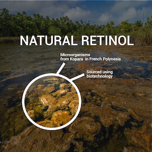 Natural Retinol alternative, marine extracts for skincare and cosmetics, produced with biotechnology