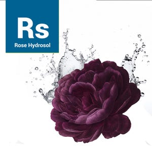 Rose Hydrosol, Organic Rose Distillate