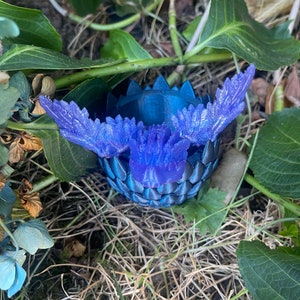 Dragon Egg with Toddler Dragon