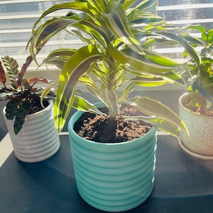 Indoor Planter Hidden Drip Tray Multiple Sizes Many Colors 3D Printed