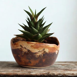 May include: A small, round, hand-thrown ceramic planter with an uneven, organic rim. The pot features a two-tone brown and tan glaze with embossed dragonfly motifs. A spiky, dark green succulent plant is potted inside the ceramic vessel.