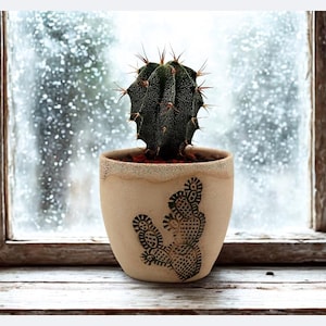 Vaso de cacto personalizado – Mini vaso de flores, vaso de cacto, vaso de plantas para suculentas, decoração de mesa