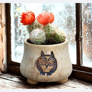 Puede incluir: Una pequeña maceta de cerámica beige con un diseño de búho pintado a mano contiene un cactus con dos flores de color naranja vibrante. La maceta está sobre un alféizar de madera frente a una ventana esmerilada.
