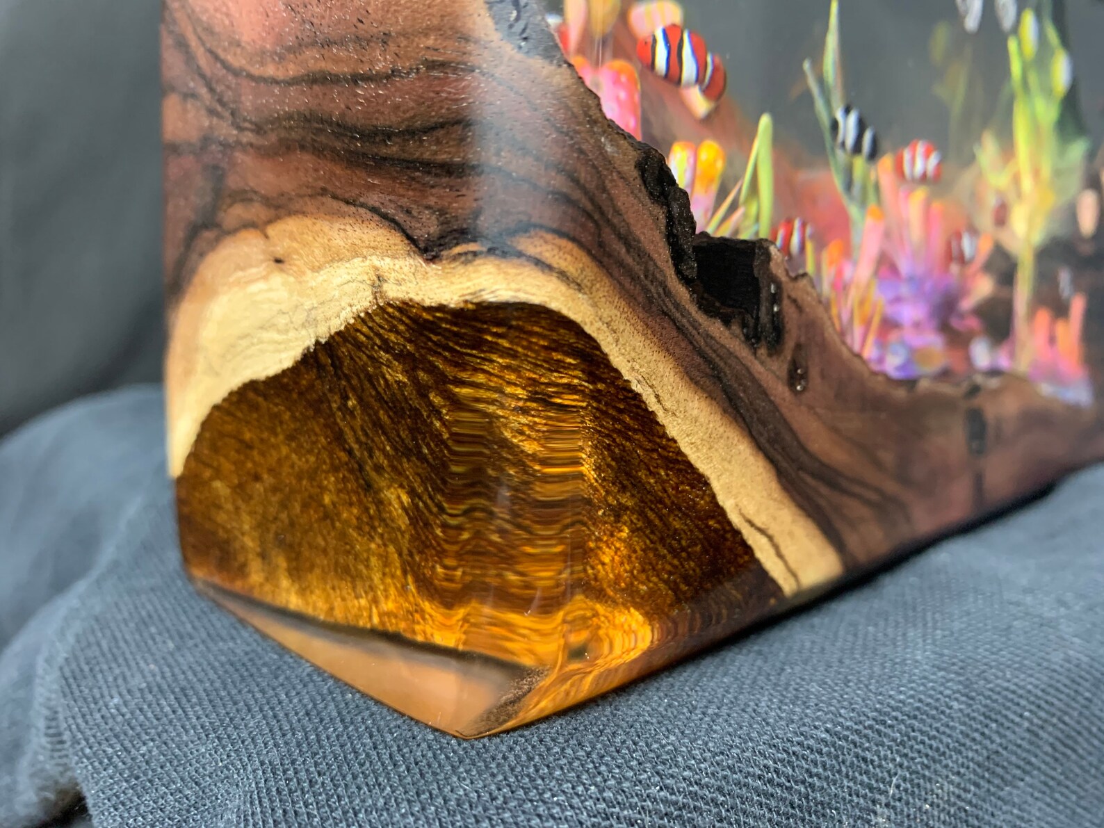 Reef Tank Diorama in Epoxy Resin 20x30x5cm Etsy