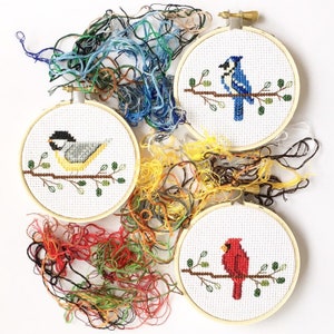 May include: Three small, round embroidery hoops with cross-stitched bird designs: a blue jay, a cardinal, and a yellow bird. The hoops are surrounded by colorful embroidery floss in shades of blue, yellow, and red.